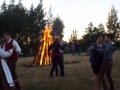 DSCF3195