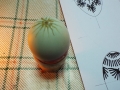 DSCF8170