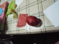 DSCF8185