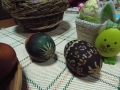 DSCF8186