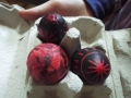DSCF8187