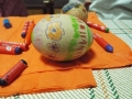 DSCF8203