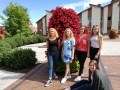 IMG_20170707_163930