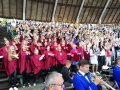 IMG_20170611_201208