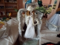 DSCF6512