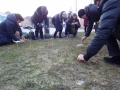 DSCF2983