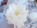 DSCF1866