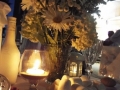 DSCF1990