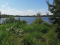 Palmyra Kačerauskienė (Triškoniai Pakruojos raj.)