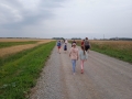 IMG_20210727_103159_1