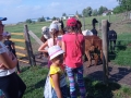 IMG_20210728_102658