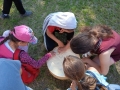 IMG_20210611_105858_1